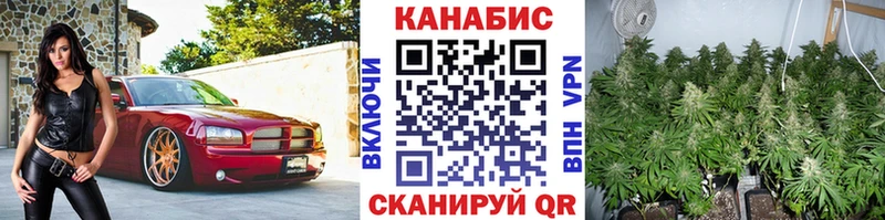ОМГ ОМГ вход  Заозёрск  Бошки марихуана MAZAR  магазин продажи  